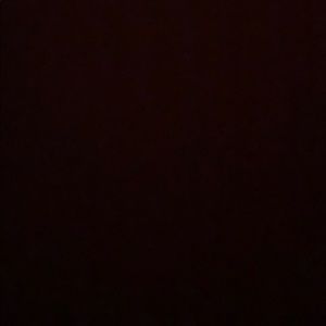 Meet your Posher, Aracely